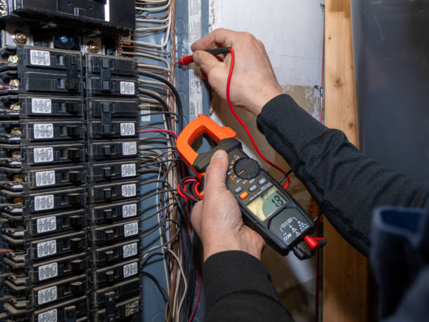 Best Electric Panel Repair  in Stone Park, IL